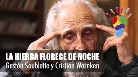Valparaíso 2013. La hierba florece de noche: Gastón Soublette y Cristián Warnken.